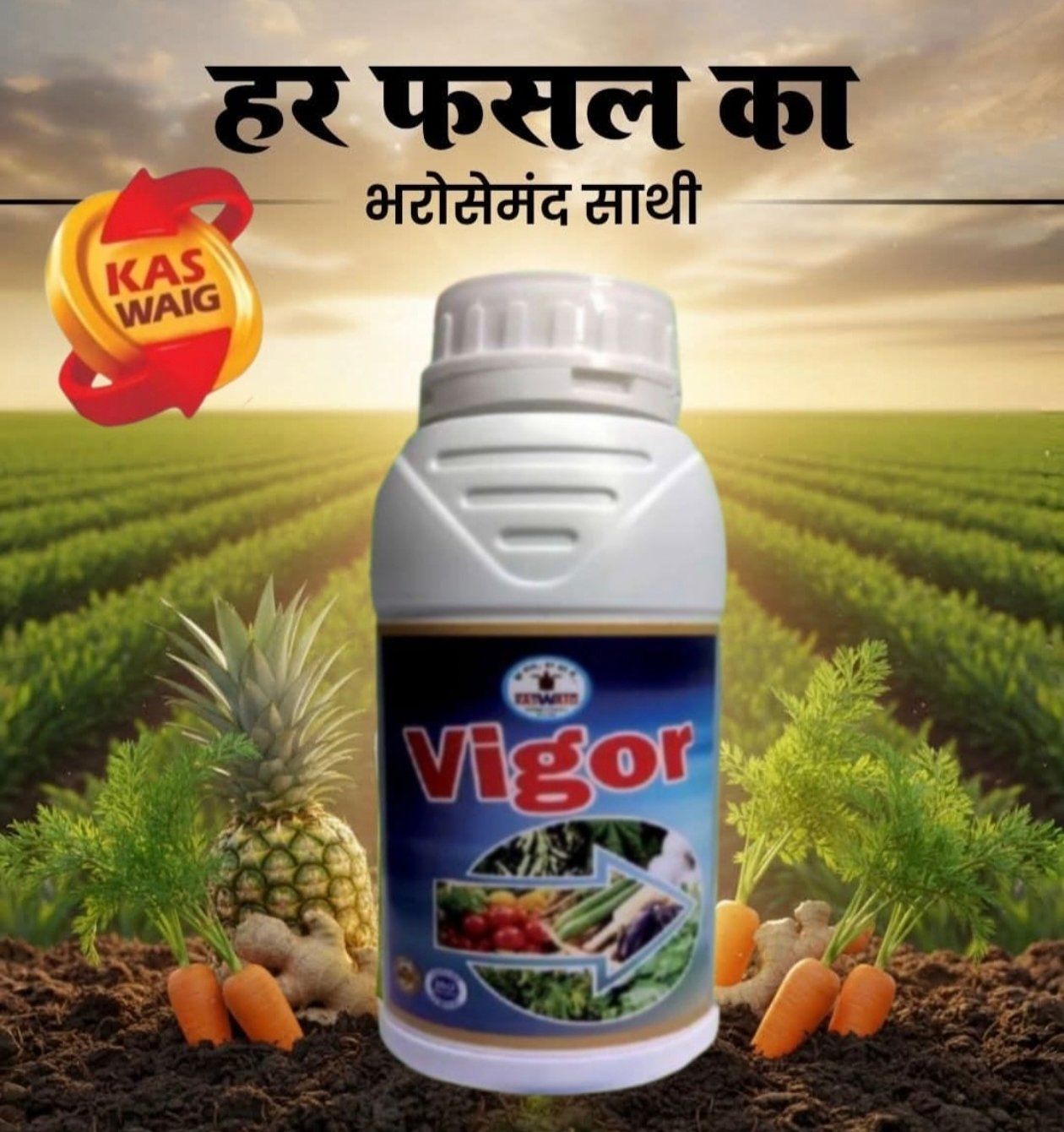 VIGOR 500ML